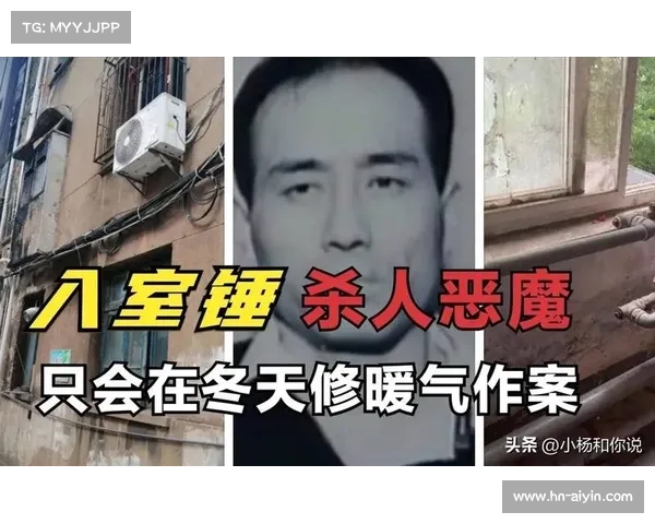 飞挺逃脱全攻略:秘技揭秘,轻松越狱 飞挺逃脱全攻略:秘技揭秘,轻松越狱